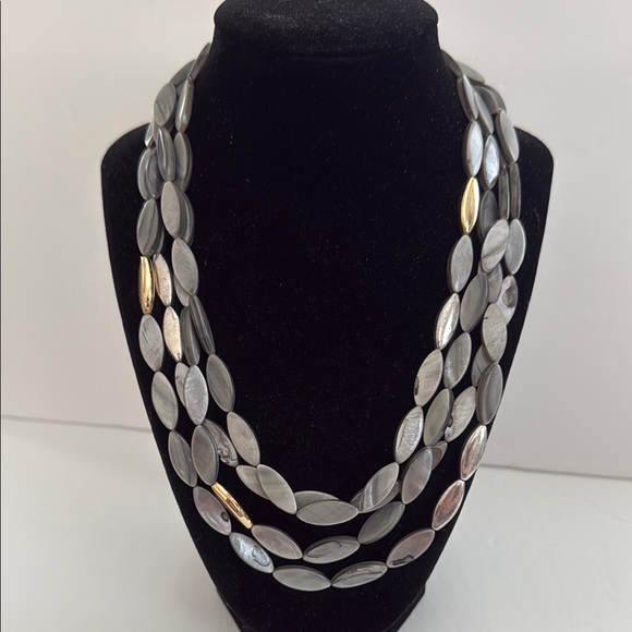 Chico's Jewelry - New Chico’s Elegant Multi-Strand Silver and Gold Necklace